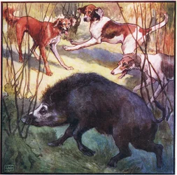 Colocando a cabeça um pouco para baixo, ele veio direto para mim (lito colorido)