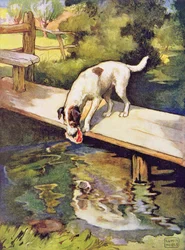 O cão e a sombra, de 