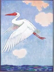 ""Onde está aquela Borboleta", Wondered the Crane", ilustração de 
