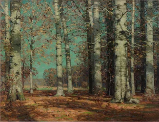 Faias de Outono