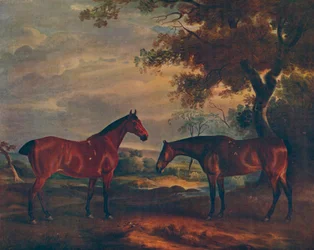 Caçadores de Yorkshire na grama, c1840, 1922