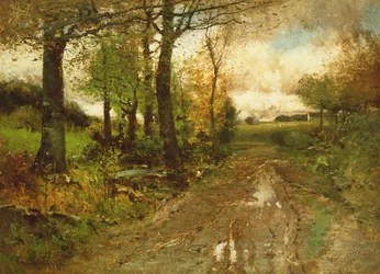 Estrada através da floresta