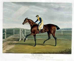 "A Duquesa", a Vencedora do Grande St. Leger em Doncaster