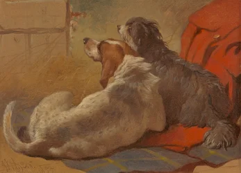 Um cão de caça e um Collie barbudo sentados num casaco de caça