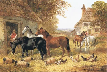 Cavalos, em, um, farmyard