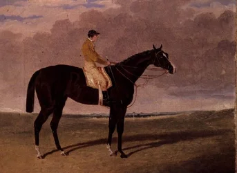 Rainha dos Trumps, um cavalo de corrida na baía com jockey