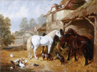 Cavalos em um pátio