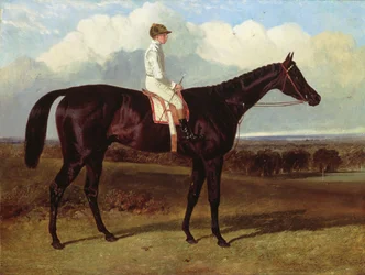 Jonathan Wild, um cavalo de corrida Dark Bay, em Goodwood, T.Ryder up, 1846