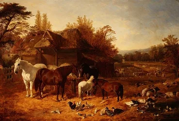 O Estaleiro da Fazenda com Cavalos, Póneis, Berkshire Saddle Backs, Alderney Shorthorn Cattle and Poultry