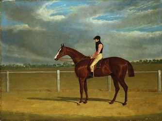O cavalo de corrida "O Coronel" com William Scott Up