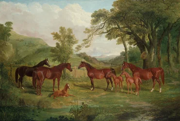 O parafuso prisioneiro de Streatlam, éguas e potros, 1836
