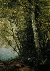 Estudo das faias, 1872.