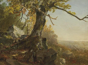 Árvore numa paisagem