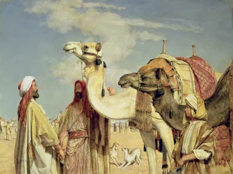 Saudações no deserto, Egito