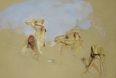 Estudo de camelos com condutores beduínos no deserto do Monte Sinai