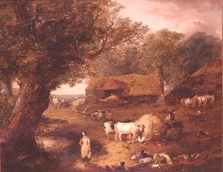O Estaleiro da Fazenda