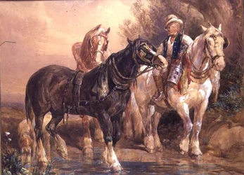 Cavalos de Rapazes e Carrinhos