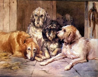 Os Cães de Caça às Lontras