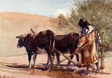 Arando no Monte das Oliveiras, 1902.