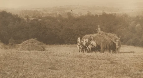 Carregamento de feno,1890-1900 (foto)