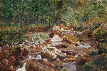 Um Rocky Stream Overhung com Árvores (aguarela e cor de corpo com goma arábica sobre papel)