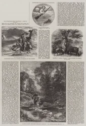 Ilustrações da Caça Africana de Baldwin