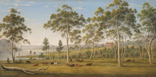 A casa do Sr. Robinson em Derwent, Van Diemen