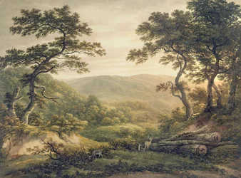 Needlewood Forest, Hampshire (aquarela sobre papel)