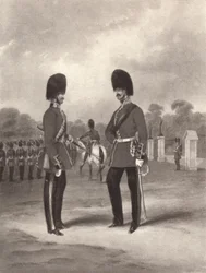 Protetores de fusileiros escoceses, c1820-1870, 1909