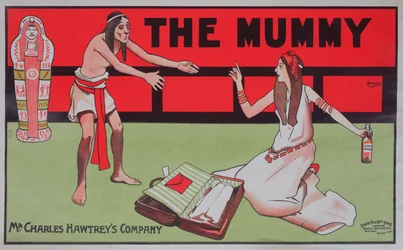 Cartaz publicitário de whisky fabricado pela empresa Charles Hawtrey, c.1900 (lito a cores)