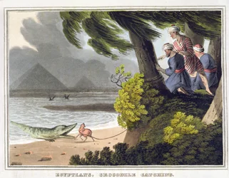Captura de Crocodilos Egípcios, gravada por Matthew Dubourg (fl.1785-1820), publicada por Edward Orme