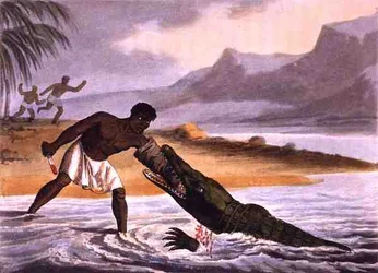 The African Crocodile Hunters, gravado por Matthew Dubourg (fl.1785-1820), publicado por Edward Orme