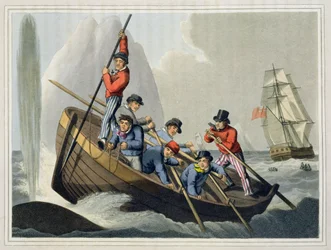 Barco de um navio que ataca uma baleia, gravado por Matthew Dubourg (fl.1785-1820), publicado por Edward Orme, 1813