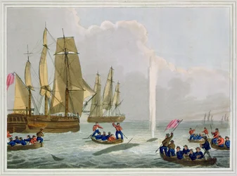 Barcos Aproximando uma Baleia, gravada por Matthew Dubourg (fl.1785-1820), publicada por Edward Orme, 1813