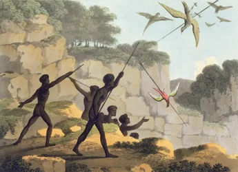 Jogando a lança, os aborígenes caçam pássaros de Novo Gales do Sul gravados pelo bar de Matthew Dubourg (f.1813-1820). 1813