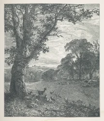 Placa 3. Cervo em volta de uma árvore.  Fotos da Natureza. Uma série de trinta ilustrações originais desenhadas em madeira por J. H. Dell e gravadas por R. Paterson.  John Henry Dell