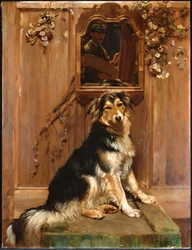 Um cachorro e um espelho (óleo sobre tela)