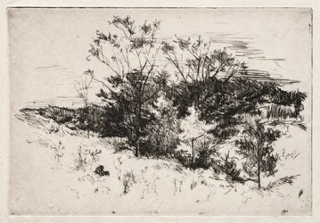 Paisagem de outono, 1879-80.