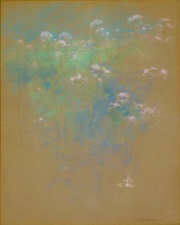 Flores