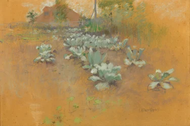 Tobacco Patch, c.1895-1899 (pastel em papel pardo)