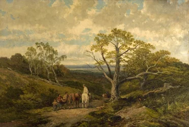 Vista, em, floresta sherwood, nottinghamshire