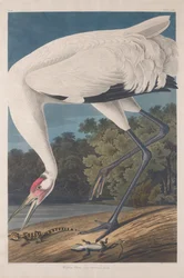 Guindaste Hooping, 1834