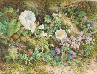 Estudo das Flores, 1866.