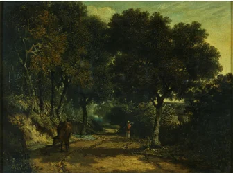 Uma estrada rural com sombra