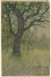 Paisagem