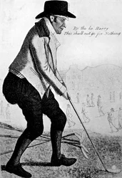 Galo do prado, século XVIII.