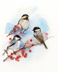 Chickadees com Berries, 2017, (aguarela)