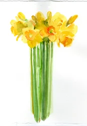 Daffodil bunch, 2014