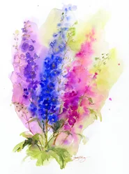 Delphinium, 2016, (aquarela)