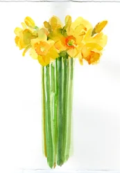 Bando de Narciso; 2014; (aguarela)